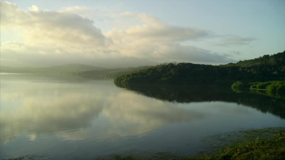 Glass-calm Golfo Dulce at dawn with distant forested mountains