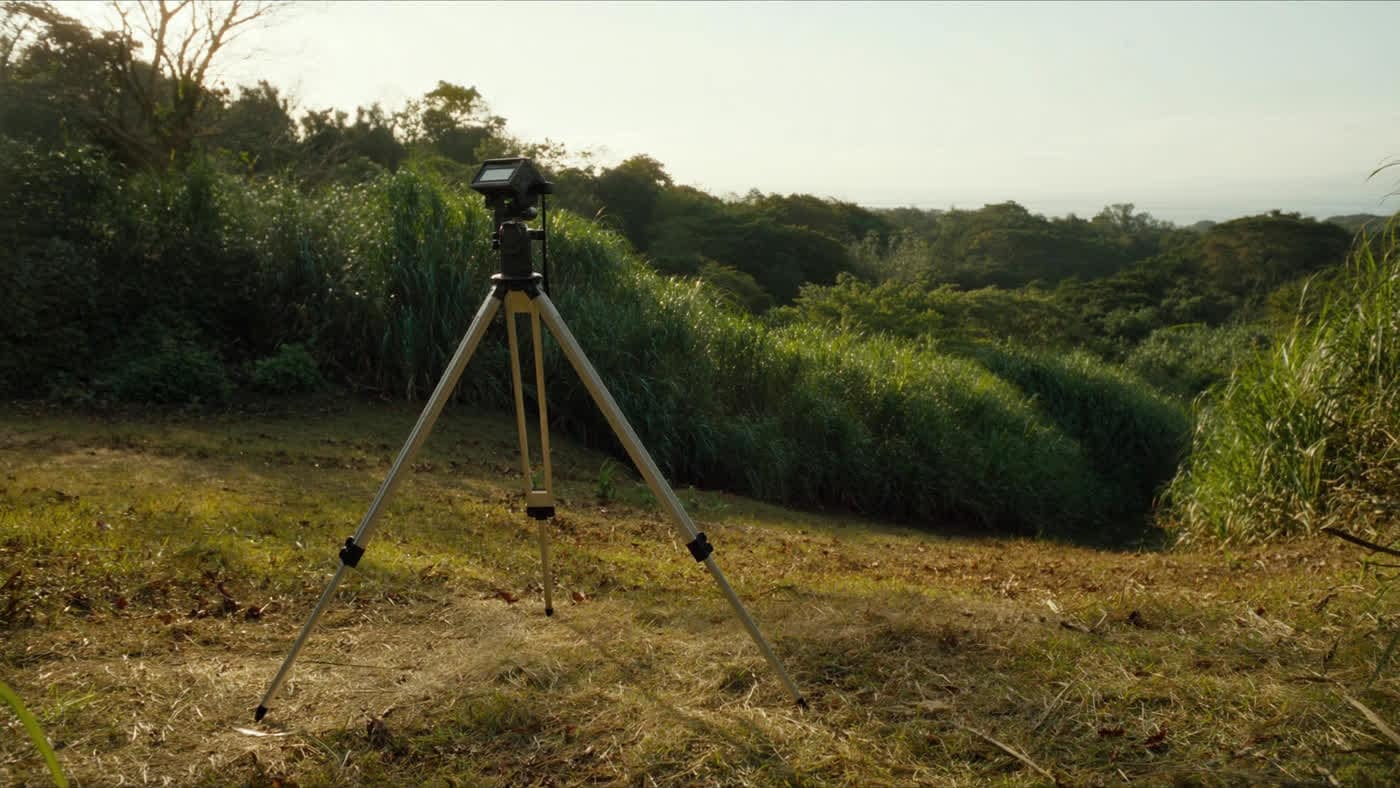 Surveyor's instrument on a cleared ridge overlooking rainforest and the Golfo Dulce