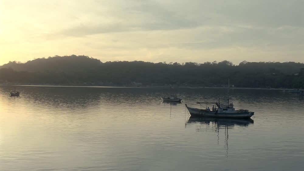 Puerto Jiménez waterfront at dawn, small boats on calm gulf water